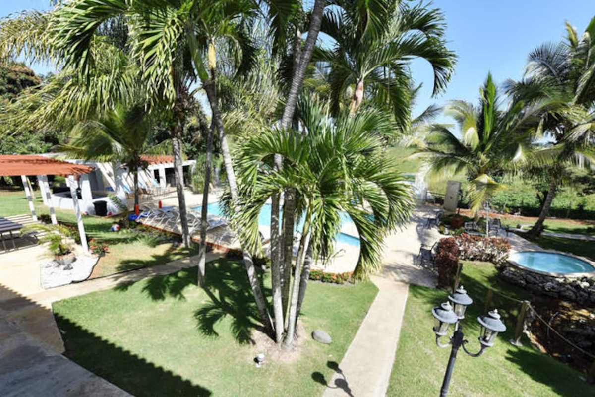 Sendero del jardín entre palmas hacia la piscina